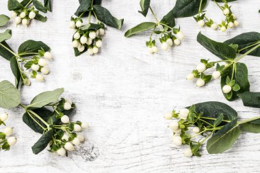 Ahşap arka plan, kopya alanı üzerinde beyaz hypericum.