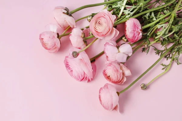 Pink ranunculus flowers. Home decor