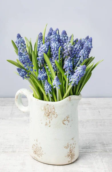 Μπλε Muscari Λουλούδια Υάκινθος Σταφυλιών Εκλεκτής Ποιότητας Κεραμικό Βάζο Άνοιξη — Φωτογραφία Αρχείου