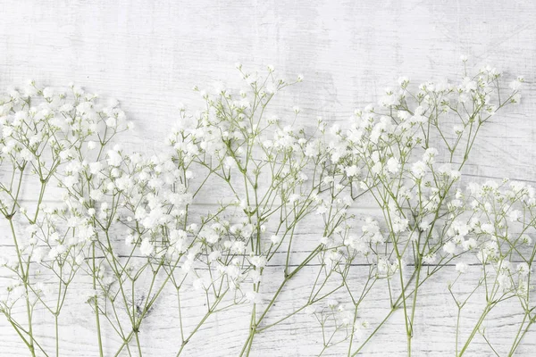 Achtergrond Met Kleine Witte Bloemen Pluimgipskruid Wazig Selectieve Aandacht — Stockfoto