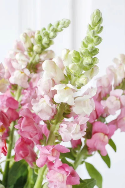 Розовые Цветы Маттиолы Декор Дома — стоковое фото