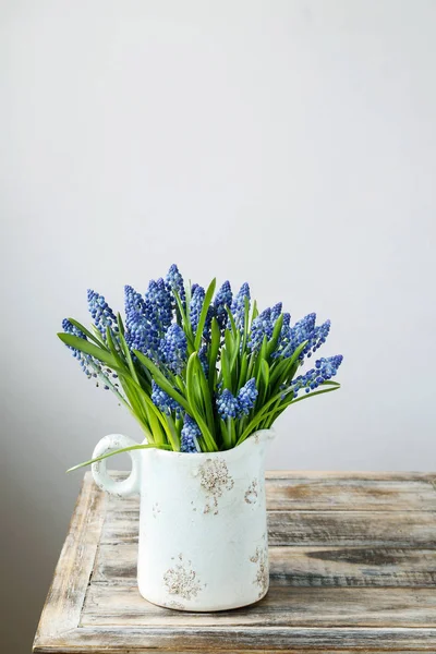 Μπλε Λουλούδια Muscari Υάκινθος Σταφυλιών Εκλεκτής Ποιότητας Κεραμικό Βάζο Αντίγραφο — Φωτογραφία Αρχείου