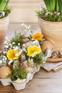 Paskalya sıradan kağıt yumurta kutusu, çuha çiçeği çiçek, gypsophila paniculata twigs ve yosun çiçek aranjmanı.