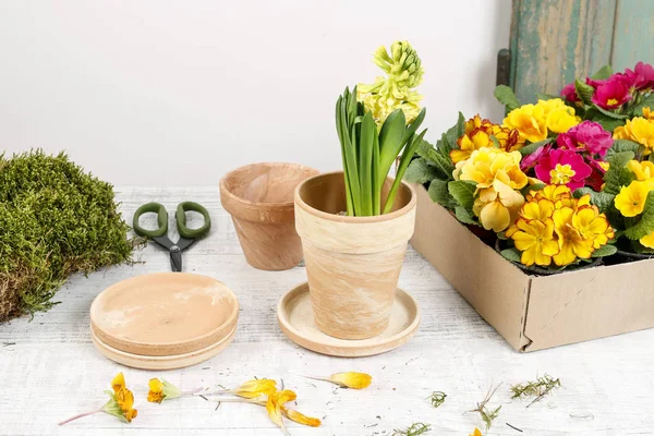 花屋職場 カラフルな春の花とアクセサリー 趣味の庭 — ストック写真