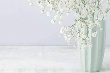 Gypsophila paniculata mavi seramik vazo, kopya alanı çırpı. Duvar kağıdı motifi.