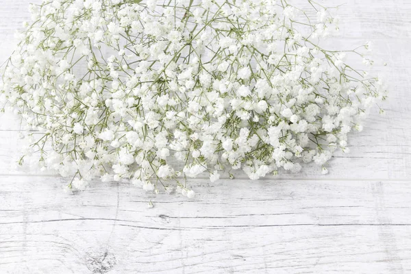 Bakgrund Med Små Vita Blommor Brudslöja Växt Suddig Selektiv Inriktning — Stockfoto