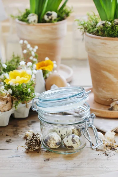 Quail Eggs Glass Jar Spring Flowers Plants Background — Stock Photo, Image