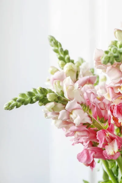 Pink Matthiola Flowers Party Decor — Stock Photo, Image
