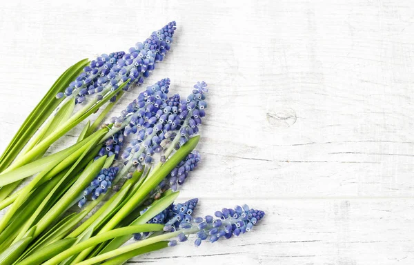 Blue Muscari Flowers Grape Hyacinth Wooden Background Copy Space — Stock Photo, Image