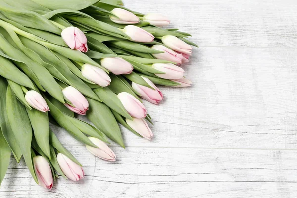 Rosa Tulpen Auf Weißem Holzhintergrund Kopierraum — Stockfoto