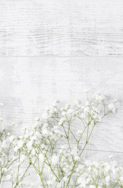 Küçük beyaz çiçekler ile arka plan (Gypsophila paniculata)