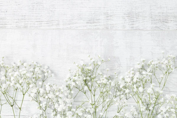 Tło z maleńkimi białymi kwiatami (Gypsophila paniculata) — Zdjęcie stockowe