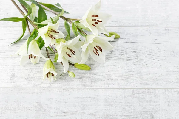 Weiße Lilien auf hölzernem Hintergrund — Stockfoto