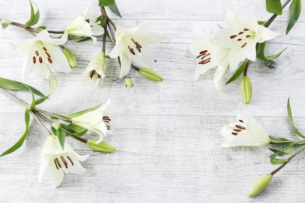White lilies on wooden background — Stock Photo, Image