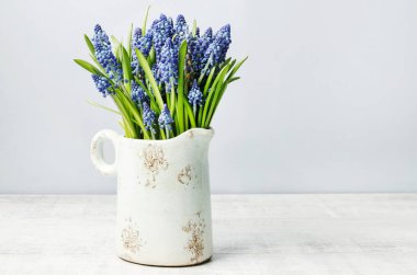 Vintage seramik vazo mavi Muscari çiçekler (üzüm Hyacinth).