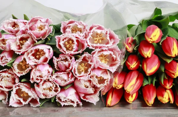 Rosa och Röda tulpaner i blomster affär. — Stockfoto