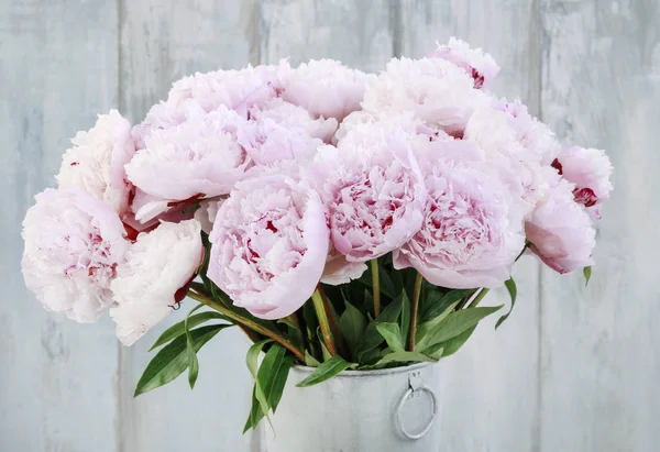 Ramo de peonías rosadas. — Foto de Stock