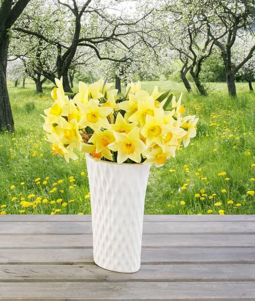 Bouquet of yellow daffodils in white ceramic vase. — Stock Photo, Image