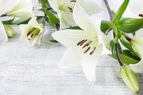 Białe lilie na drewno — Zdjęcie stockowe