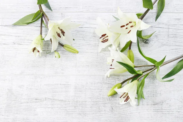 Witte lelies op hout — Stockfoto