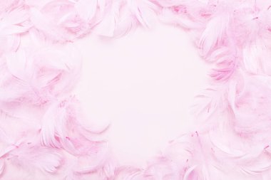 Kağıt arka planda pembe tüyler