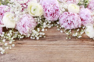 Pembe peonies, beyaz Ranunculus çiçek ve Gypsophila paniculata 