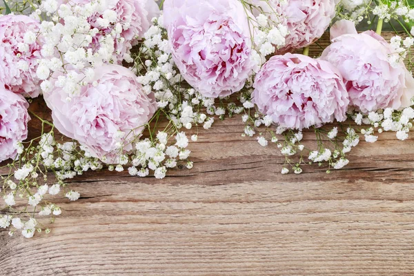 Peónias cor-de-rosa, flor branca de ranúnculo e gypsophila paniculata — Fotografia de Stock