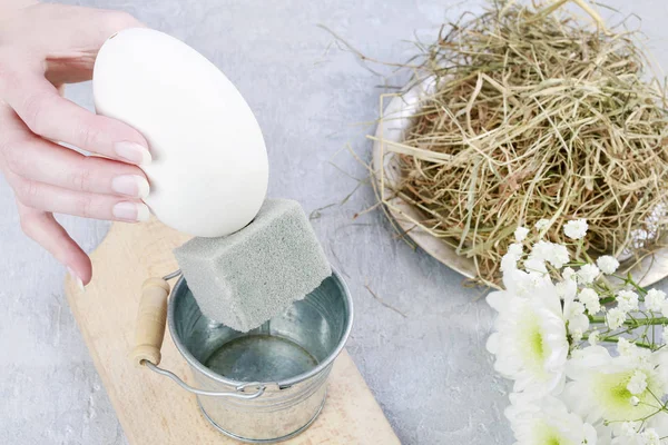 Cómo hacer arreglos florales con huevo de ganso, crisantemo y — Foto de Stock