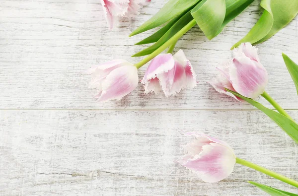 Růžové tulipány na dřevěném pozadí — Stock fotografie