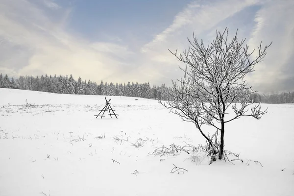 Inverno paisagem rural. — Fotografia de Stock