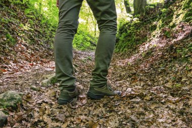 Ormanda Yürüyen Gezgin.