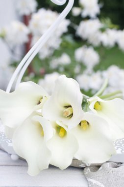 Bahçede beyaz calla çiçek (Zantedeschia) buket