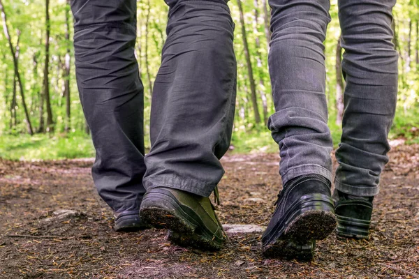 Reizigers die in het bos wandelen. — Stockfoto
