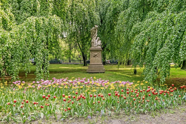 Krakow, Polonya - 20 Mayıs 2017: Halk içinde lalelerle çiçek tarhı — Stok fotoğraf