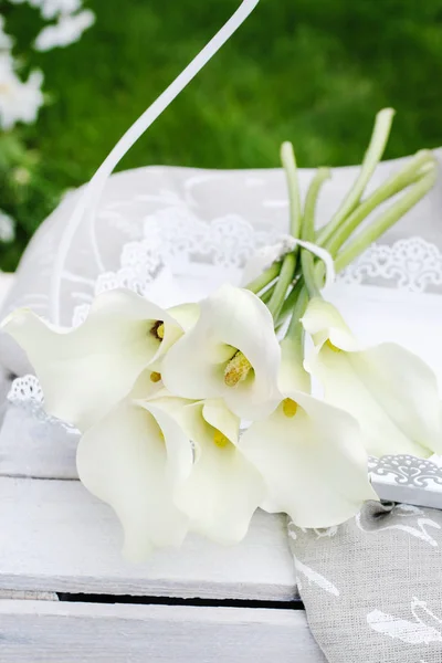 Bouquet di fiori di calla bianca (Zantedeschia) in giardino — Foto Stock