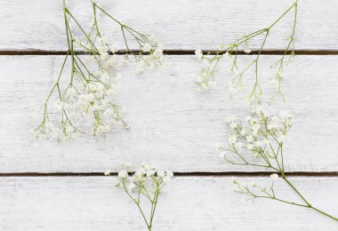 Küçük beyaz çiçekler ile arka plan (Gypsophila paniculata).