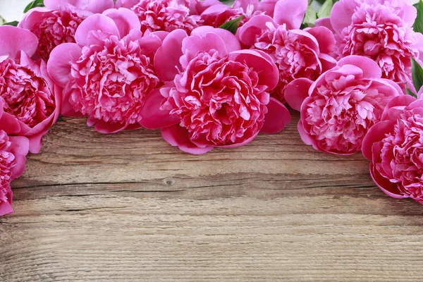 Impresionantes peonías rosadas sobre fondo blanco rústico de madera —  Fotos de Stock