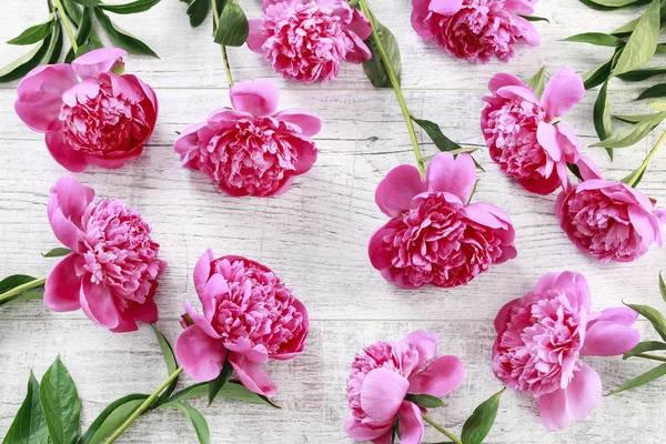 Impresionantes peonías rosadas sobre fondo blanco rústico de madera —  Fotos de Stock