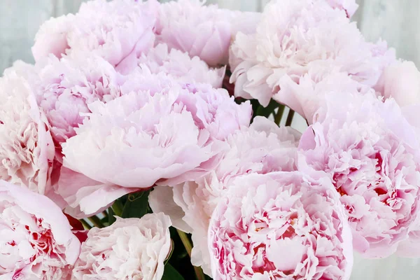 Ramo de peonías rosadas en cubo vintage . — Foto de Stock