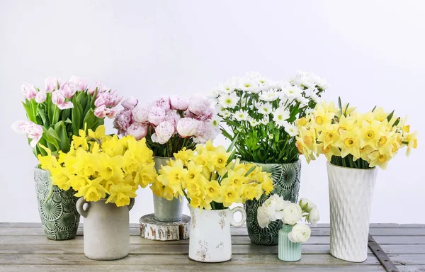 Blomsteraffär med påskliljor, pioner, prästkragar och andra växter. — Stockfoto