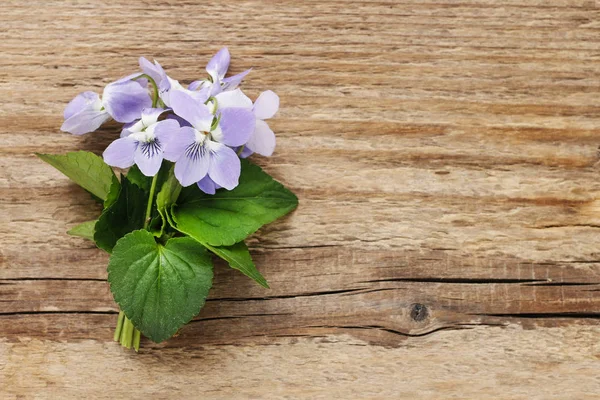Boeket van kleine viooltjes (altviool odorata) op houten tafel — Stockfoto