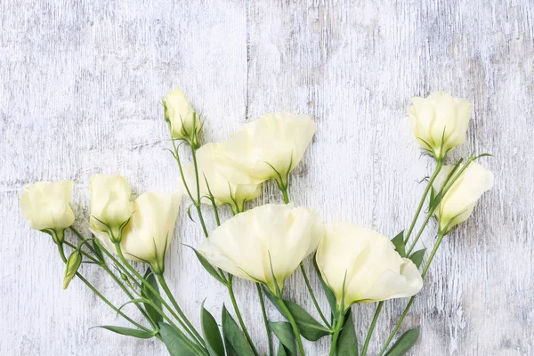 Flores de eustoma amarelo em madeira branca — Fotografia de Stock