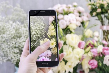 Çiçekler online sipariş. Sm'si ile bitkilerin fotoğrafını çeken kadın