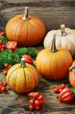 Ahşap masa üzerinde kabaklar, yosun ve physalis.