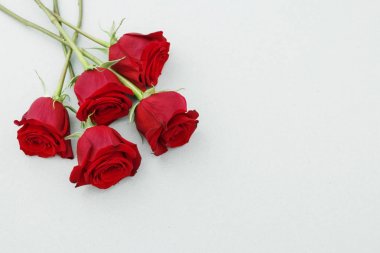 Gri kağıt arka plan üzerinde kırmızı güller