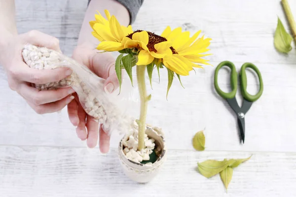 Hur man gör enkla blomsterarrangemang med solrosor, tutorial. — Stockfoto