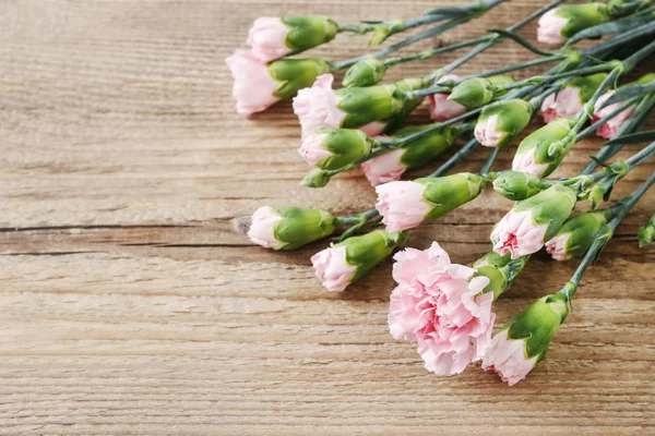 孤立木背景上的粉色康乃馨 — 图库照片
