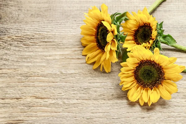 Sunflowers on wooden background — Stock Photo, Image