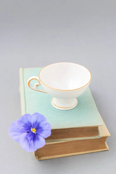 Empty porcelain cup standing on stack of old books, decorated wi — Stock Photo, Image