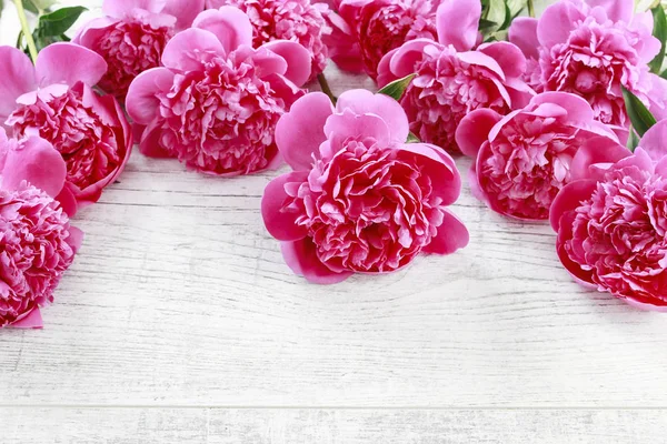 Pivoines roses sur bois blanc — Photo